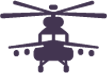 icon1